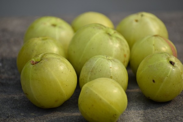 Amla (Indian Gooseberry)