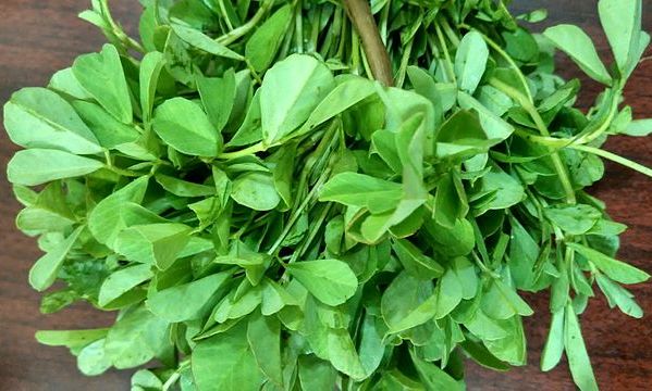 Methi (Fenugreek)